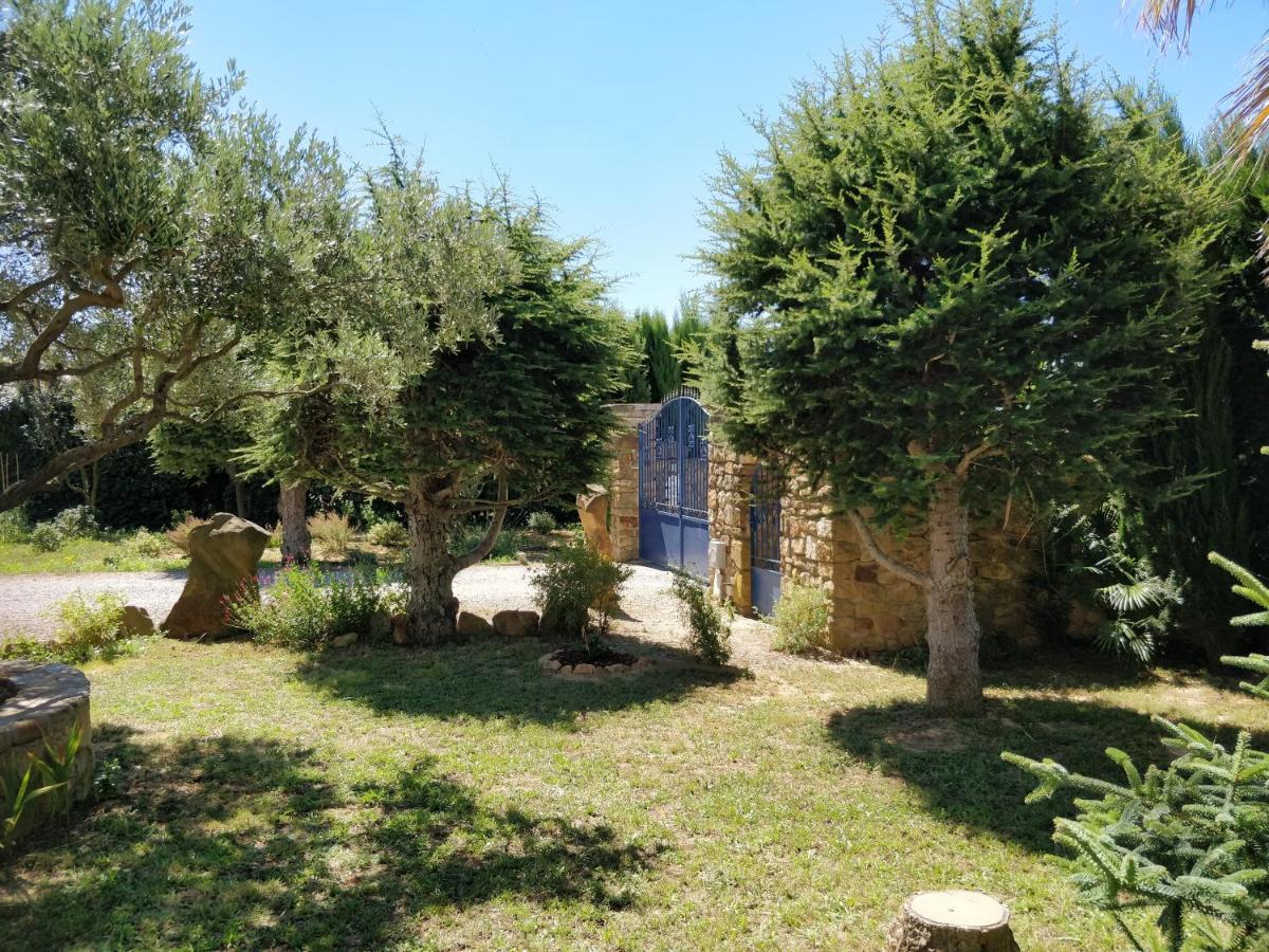 Chambre D'Hotes La Romaine Saint-André-de-Roquelongue Dış mekan fotoğraf